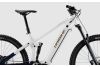 Rower elektryczny górski Haibike Alltrail 8 29 w 100% gotowy do jazdy + Gratis tak